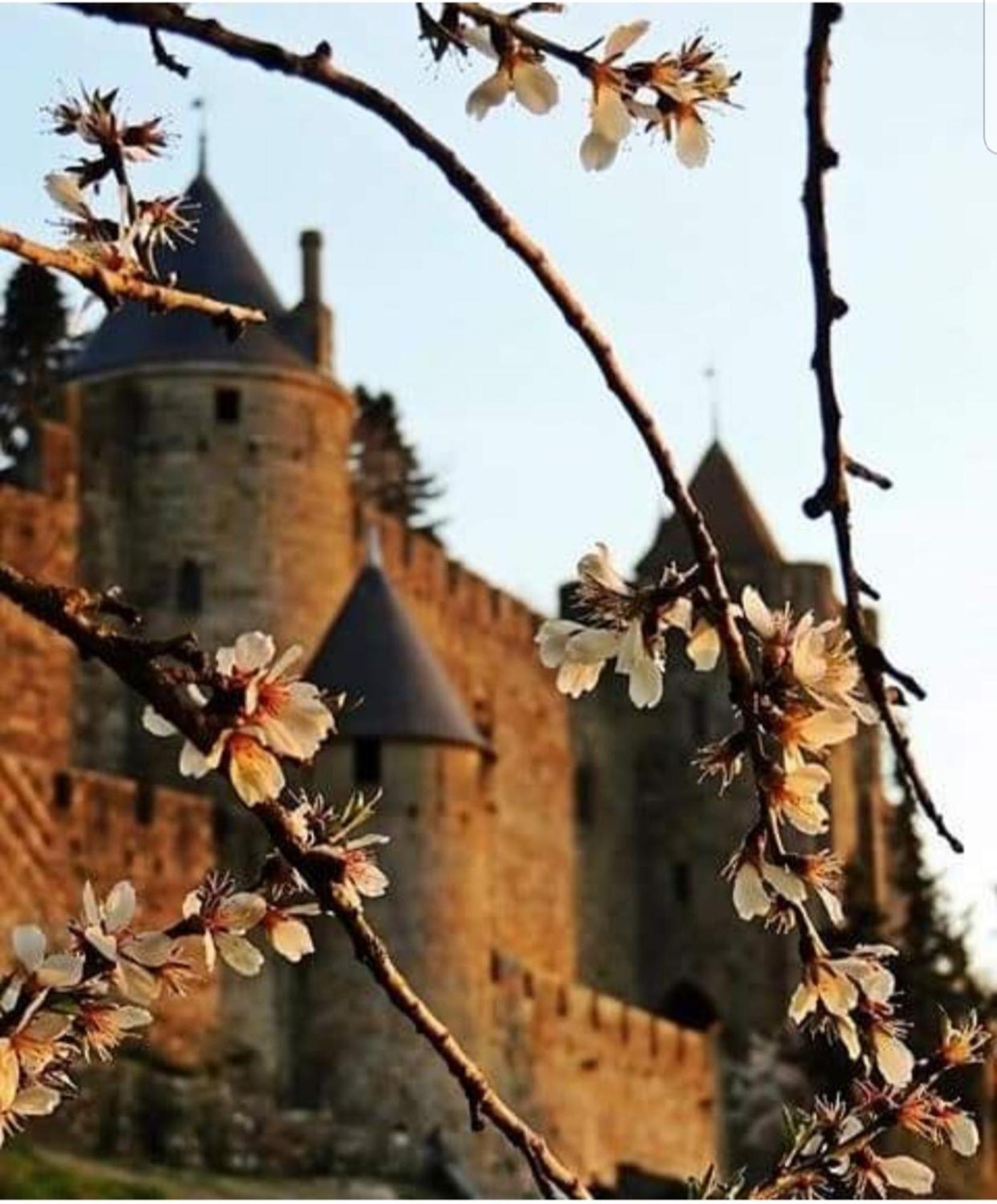 Villa Elegante A Carcassonne Avec Jardin Et Jacuzzi Luaran gambar